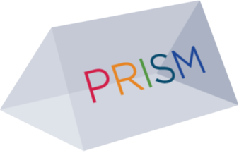 Prism 2 Logo